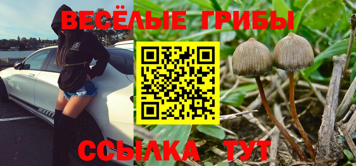 Галлюциногенные грибы Magic Shrooms Малоярославец