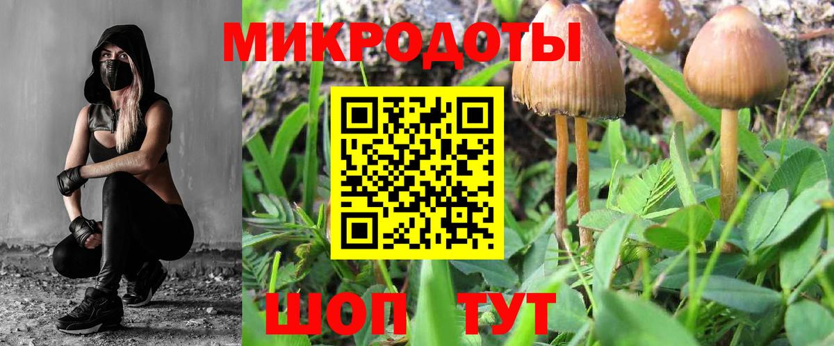 Малоярославец  Псилоцибиновые грибы мухоморы  Вход с VPN 
